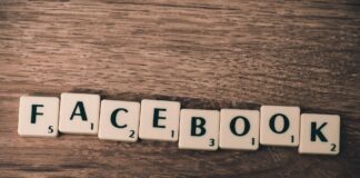 Negare l'olocausto su facebook è vietato