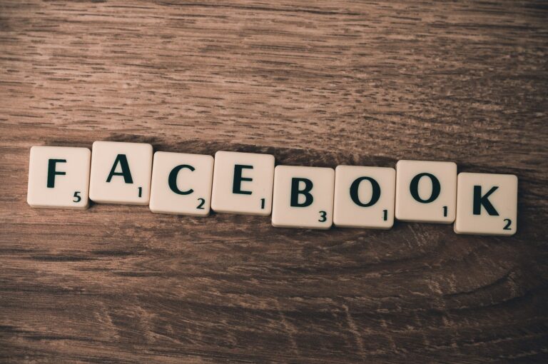 Negare l'olocausto su facebook è vietato