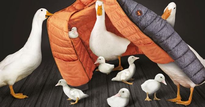 Save The Duck, azienda animal free, articolo di Loredana Carena