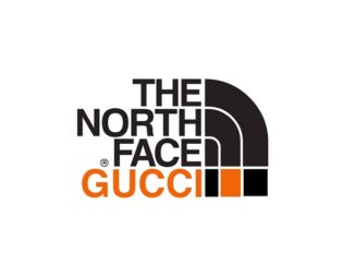 progetto the north face x gucci