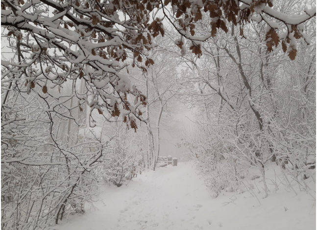 Meteo Neve – In arrivo nevicate abbondanti e diffuse sulle montagne: ecco gli accumuli previsti