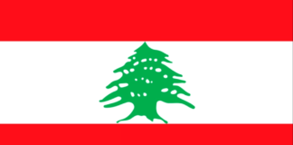 I giovani partiti sono il futuro del Libano