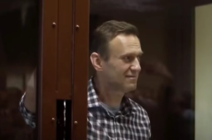 Amnesty Navalny