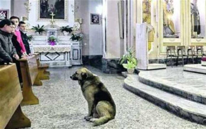 Entra in chiesa col cane 45enne