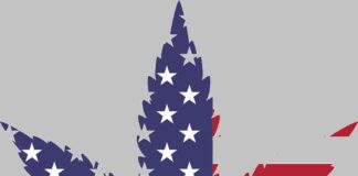 New York verso la legalizzazione della marijuana