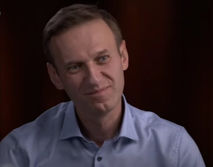Organizzazione Navalny