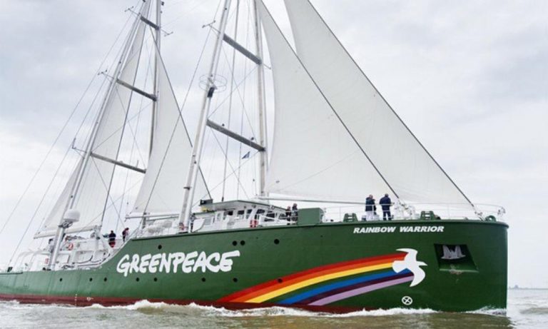 Difendiamo il mare: il nuovo progetto di Greenpeace