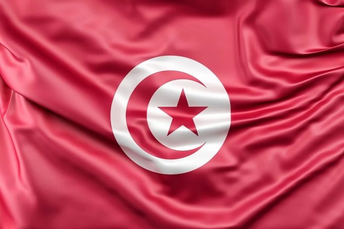 Referendum sulla Costituzione in Tunisia: vince il sì
