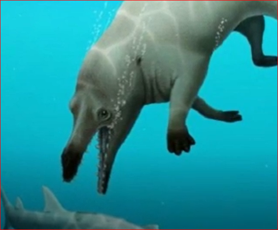 Balena fossile in Egitto: creatura tra mammifero e cetaceo