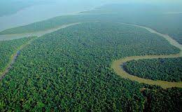 Amazzonia: le vacanze nella foresta tropicale