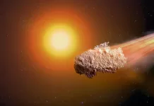 Maxi asteroide