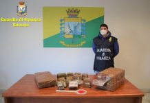 GdF di Savona 2 arresti
