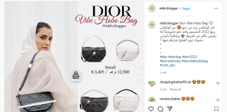 Vibe Hobo Bag Dior