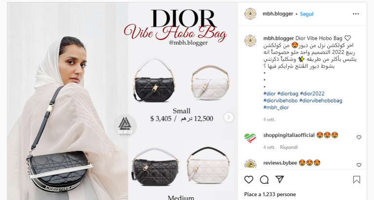 Vibe Hobo Bag Dior