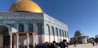 Gerusalemme: forze israeliane fanno irruzione nella moschea di Al-Aqsa