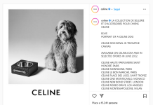 Collezione accessori Celine Dog
