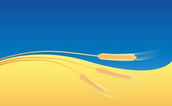Spedizioni di grano ucraino: nessun impedimento dalla Russia