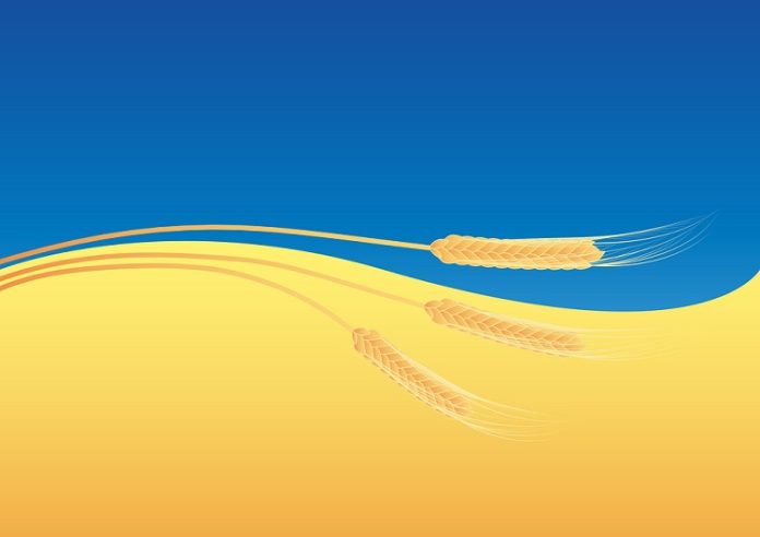 Spedizioni di grano ucraino: nessun impedimento dalla Russia