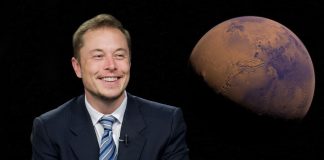 Elon Musk crisi Tesla