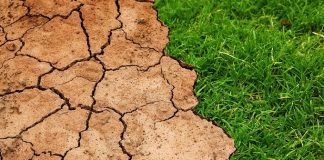 Stato di emergenza in cinque regioni per siccità