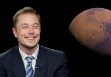 Elon Musk vendita azioni Tesla