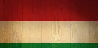 Ungheria: presidente pone il veto alla legge anti-LGBT