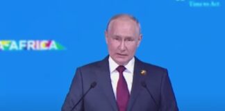 Putin non parteciperà di persona al G20