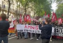 Francia: proteste contro la brutalità della polizia