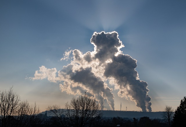 Catturare le emissioni di anidride carbonica è possibile?