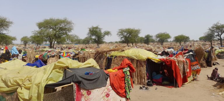 Sudan, 50mila persone accampate da mesi al confine del Ciad senza assistenza e servizi di base