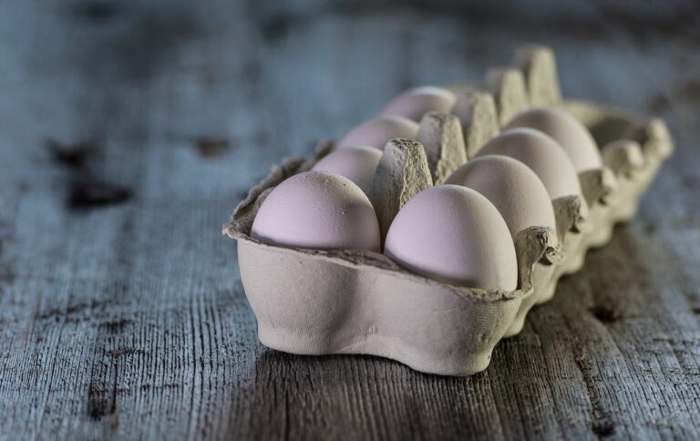 Carenza di uova in Sudafrica: come i prodotti di pollame sono diventati una merce preziosa