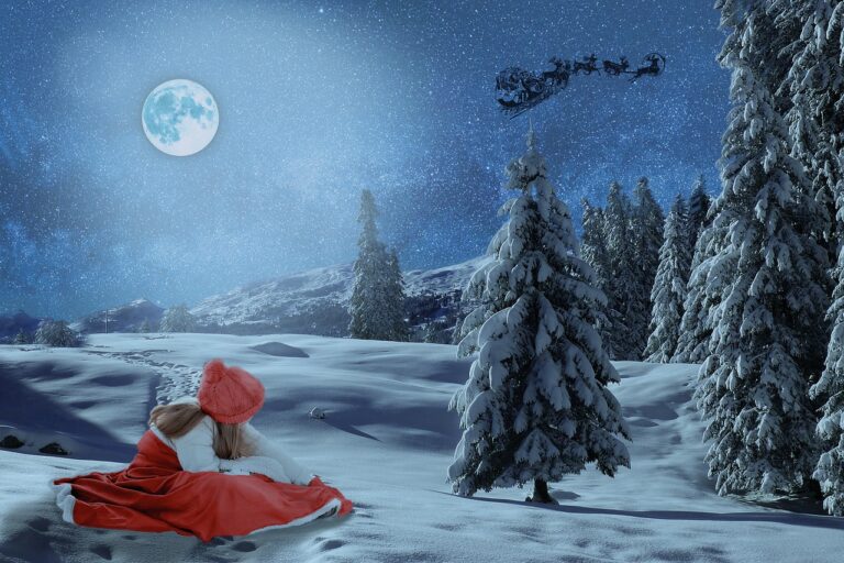 Solstizio d’inverno, luna piena, stelle cadenti: ecco tutti i principali eventi astronomici di dicembre