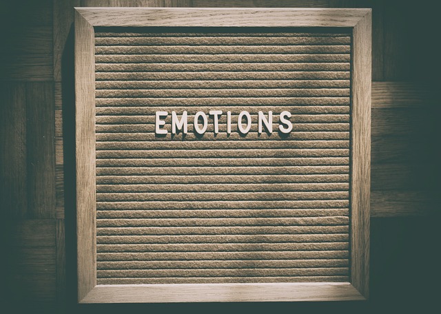 Cos’è l’alfabetizzazione emotiva?